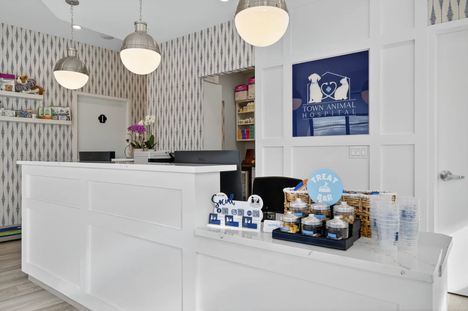 Town Animal Hospital of Manhasset, photo 1